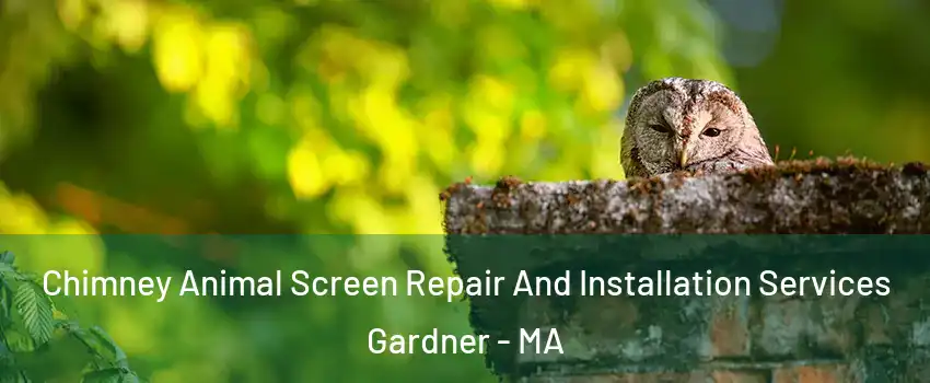  Chimney Animal Screen Repair And Installation Services Gardner - MA