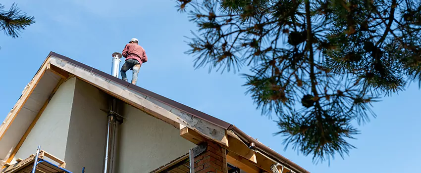Birds Removal Contractors from Chimney in Gardner, MA