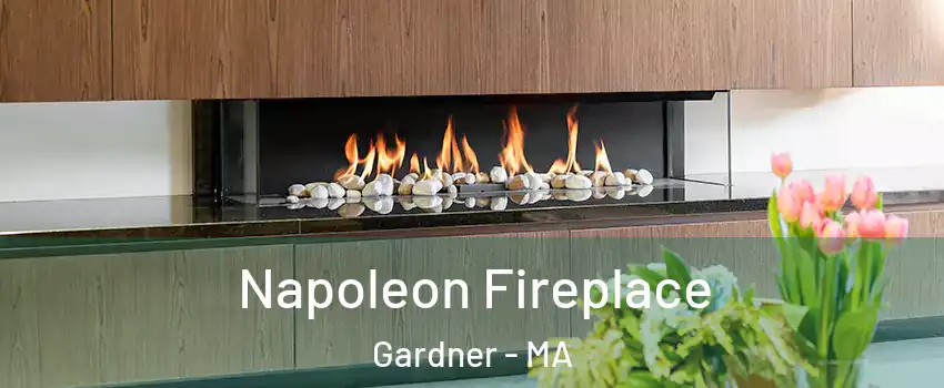  Napoleon Fireplace Gardner - MA